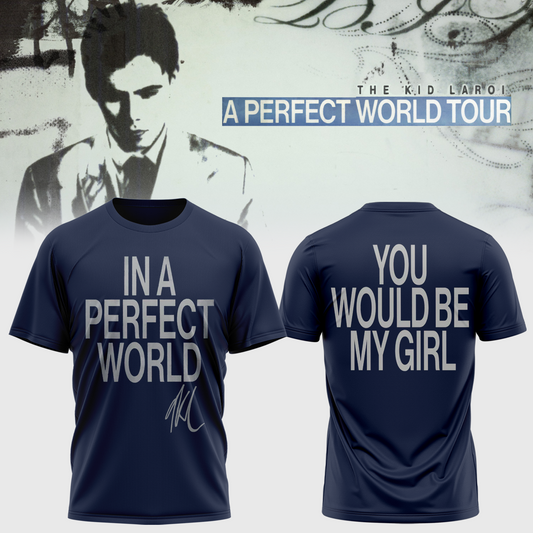 “A Perfect World Tour” New Merch TShirt