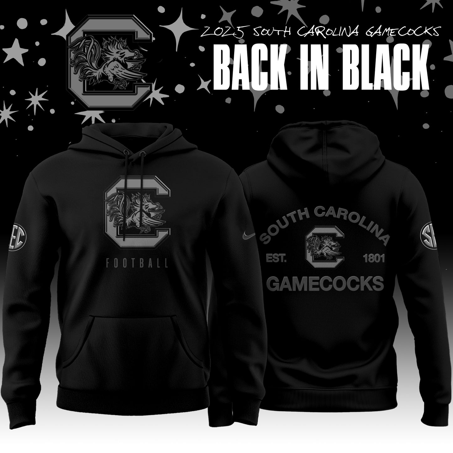 _ Back In Black South Carolina Gamecocks 2025 Special Edition Hoodie