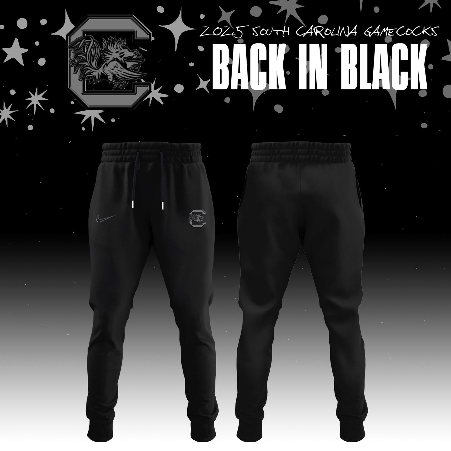 _ Back In Black South Carolina Gamecocks 2025 Special Edition Hoodie