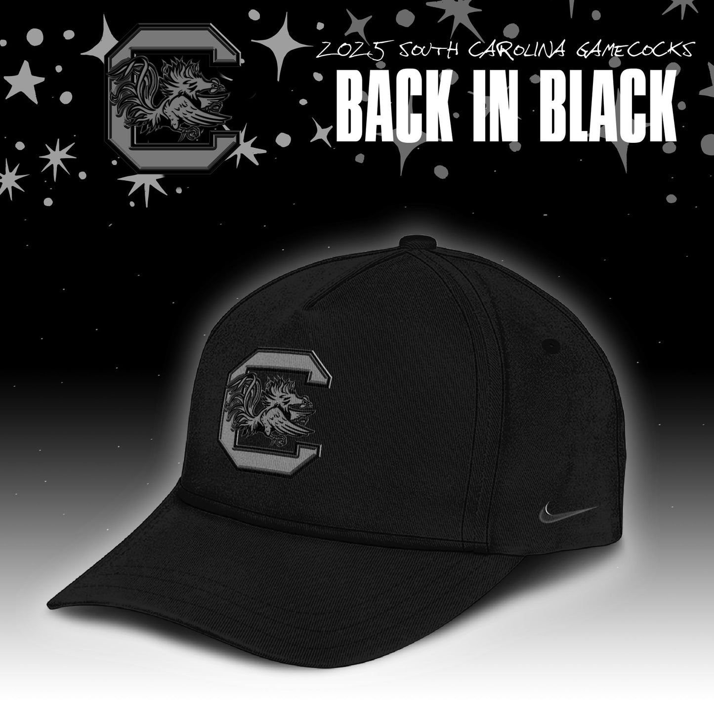 _ Back In Black South Carolina Gamecocks 2025 Special Edition Hoodie