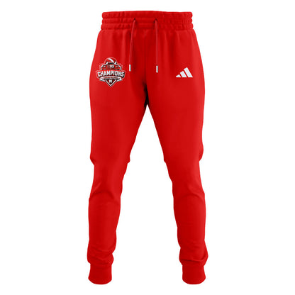Limited Edition Nebraska – B1G Volleyball CHAMPS Hoodie-ND11292506