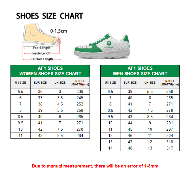 Montana State Football Native American Heritage Month New Shoes | WI49